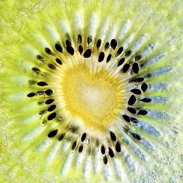Kiwi love. A slice of bright yellow-green kiwi fruit reveals a heart that