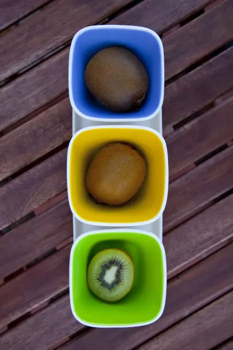 Framed Print : Kiwis from New Zealand Framed Print : Kiwis from New Zealand