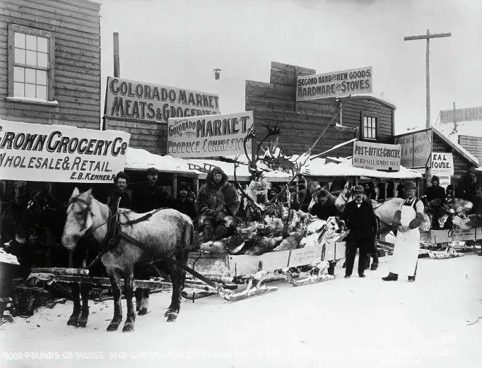 Framed Print : Klondike Gold Rush Moose Delivery Framed Print : Klondike Gold Rush Moose Delivery