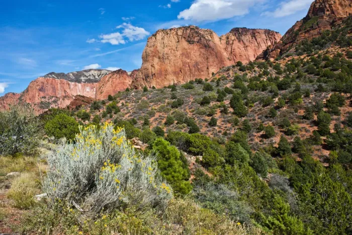 Framed Print : Kolob Canyon, Zion National Park, Utah, USA Framed Print : Kolob Canyon, Zion National Park, Utah, USA