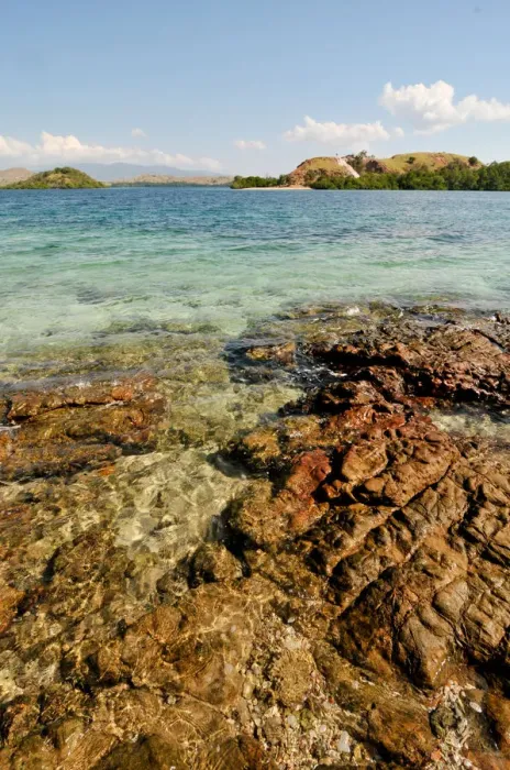 Framed Print : Komodo island Flores Framed Print : Komodo island Flores