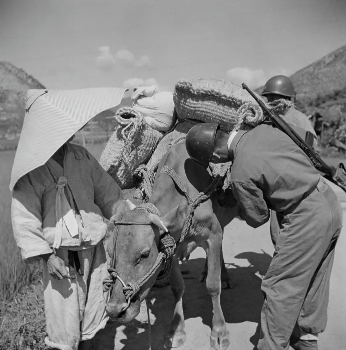 Framed Print : Korean War, 1953 Framed Print : Korean War, 1953