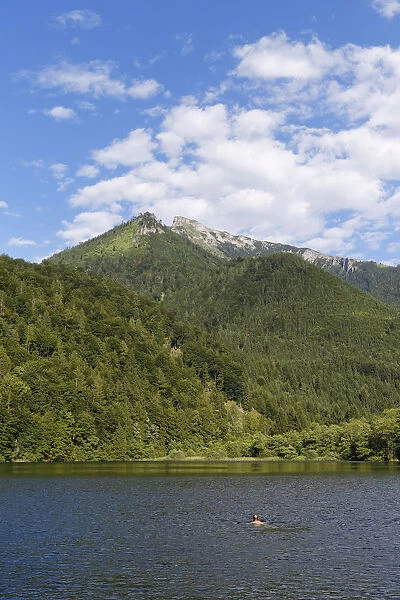 Krotensee lake with Schafberg, St. Gilgen, Salzkammergut, Salzburg state, Salzburg State, Austria