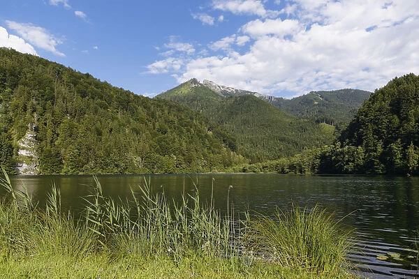 Krotensee lake with Schafberg, St. Gilgen, Salzkammergut, Salzburg state, Salzburg State, Austria