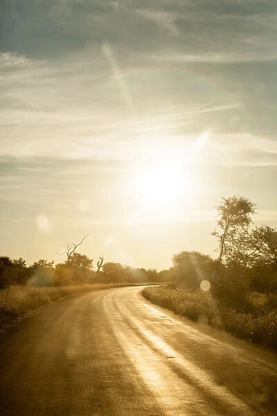 Kruger National Park, Nature Reserves, South Africa, Colour Image, Color Image, Photography