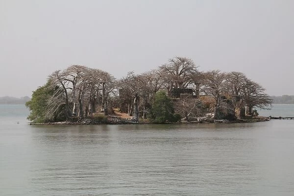 Kunta Kinte Island, formerly James Island, The Gambia