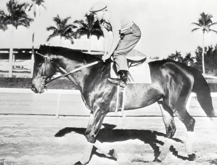 Framed Print : Kurtsinger Riding War Admiral