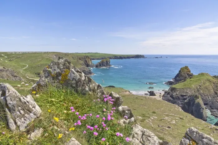 Framed Print : Kynance Cove, Cornwall, England, United Kingdom, Europe