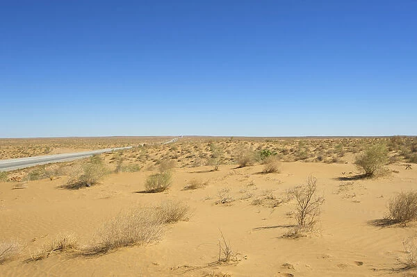 Kyzyl Kum desert, Uzbekistan