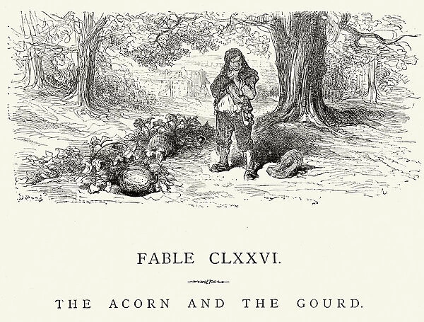 La Fontaines Fables - Acorn and the Gourd