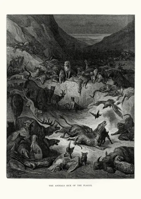Framed Print : La Fontaines Fables - Animals sick of the Plague Framed Print : La Fontaines Fables - Animals sick of the Plague