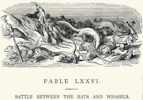 La Fontaines Fables - Battle bewtween the Rats and Weasels