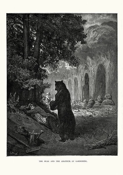 La Fontaines Fables - Bear and the Amateur of Gardening