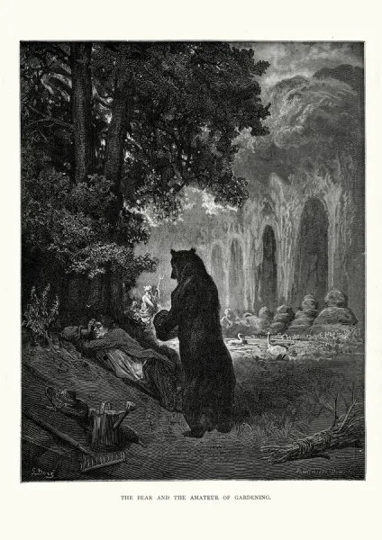 Vintage Engraving Print - The Bear and the Amateur of Gardening