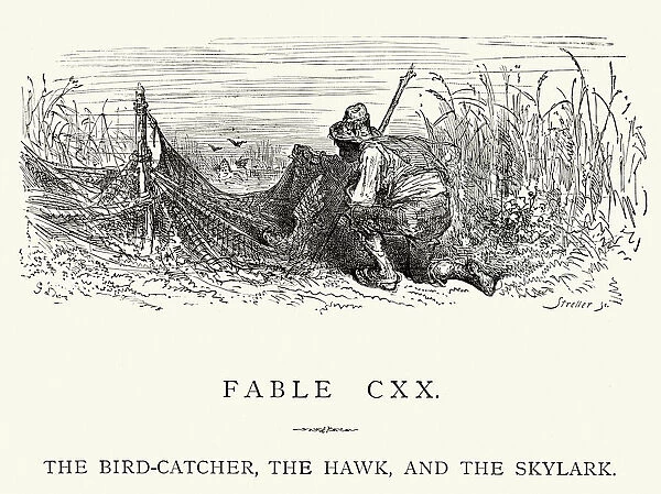 La Fontaines Fables - Bird-Catcher Hawk and the Skylark