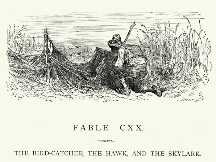 Framed Print : La Fontaines Fables - Bird-Catcher Hawk and the Skylark Framed Print : La Fontaines Fables - Bird-Catcher Hawk and the Skylark