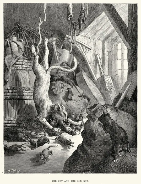 Framed Print : La Fontaines Fables - Cat and the Old Rat