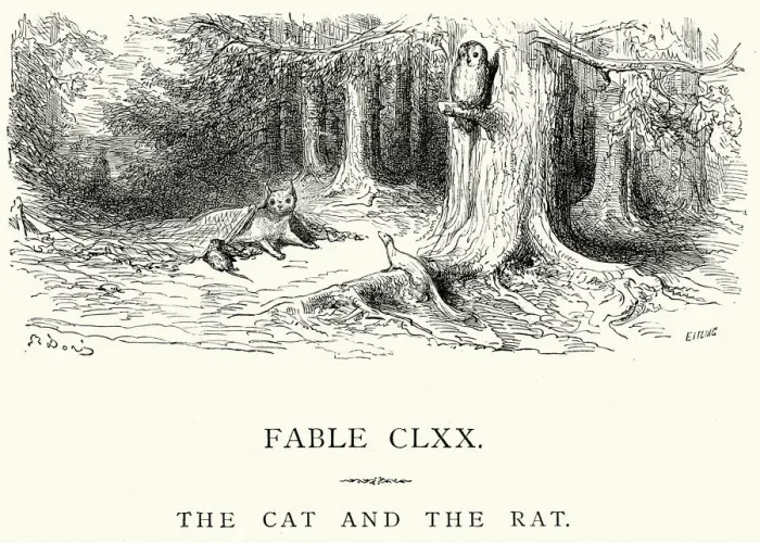 Framed Print : La Fontaines Fables - Cat and the Rat Framed Print : La Fontaines Fables - Cat and the Rat