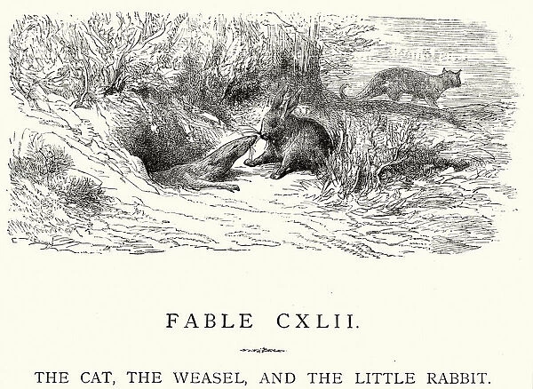 La Fontaines Fables - Cat Weasel and the Little Rabbit
