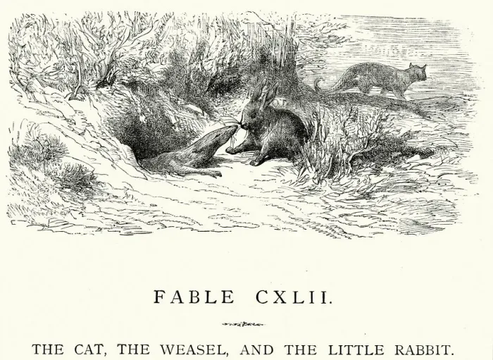 Framed Print : La Fontaines Fables - Cat Weasel and the Little Rabbit Framed Print : La Fontaines Fables - Cat Weasel and the Little Rabbit