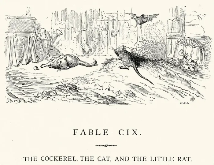 Framed Print : La Fontaines Fables - Cockerel Cat and the Little Rat Framed Print : La Fontaines Fables - Cockerel Cat and the Little Rat