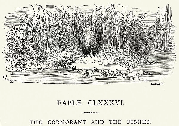 La Fontaines Fables - Cormorant and the Fishes