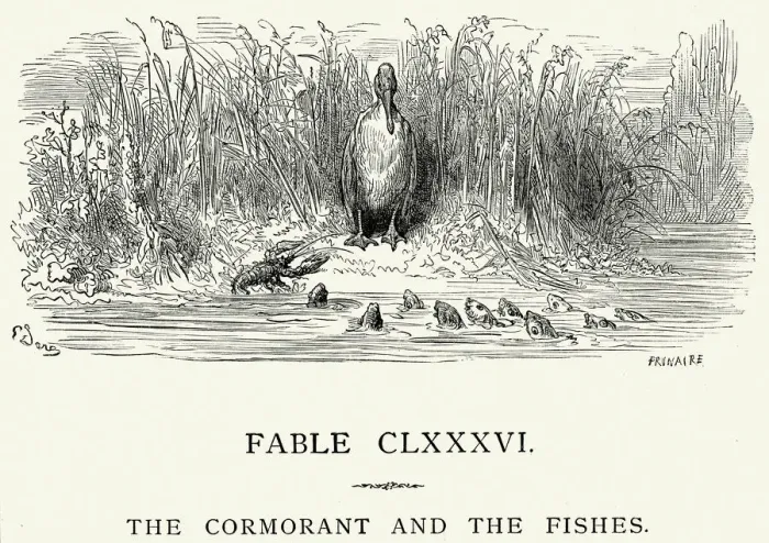 Framed Print : La Fontaines Fables - Cormorant and the Fishes Framed Print : La Fontaines Fables - Cormorant and the Fishes