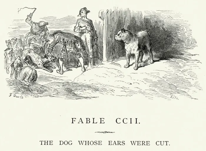 Framed Print : La Fontaines Fables - Dog whose ears were cut Framed Print : La Fontaines Fables - Dog whose ears were cut