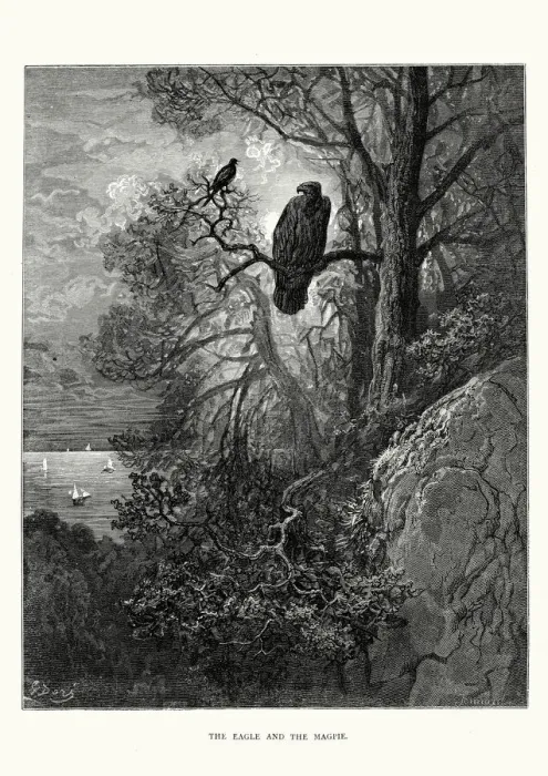 Framed Print : La Fontaines Fables - Eagle and the Magpie Framed Print : La Fontaines Fables - Eagle and the Magpie
