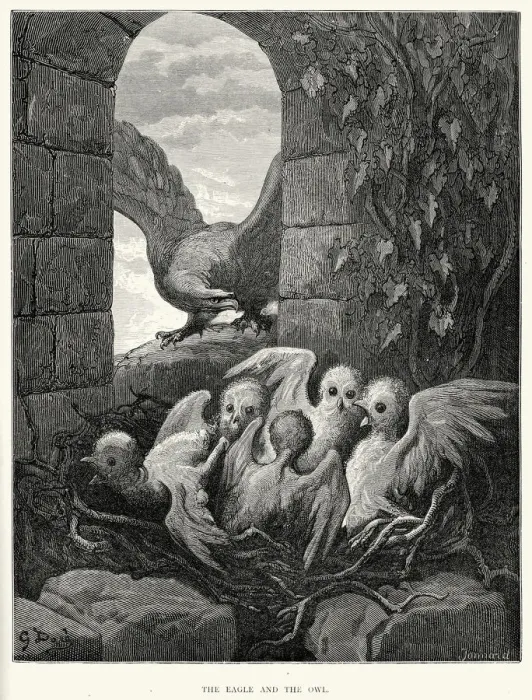Framed Print : La Fontaines Fables - Eagle and the Owl