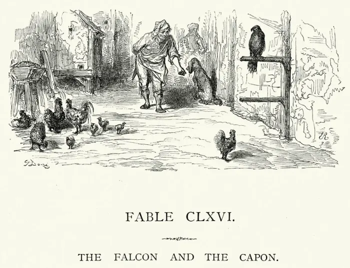 Framed Print : La Fontaines Fables - Falcon and the Capon Framed Print : La Fontaines Fables - Falcon and the Capon