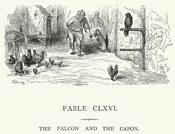 La Fontaines Fables - Falcon and the Capon