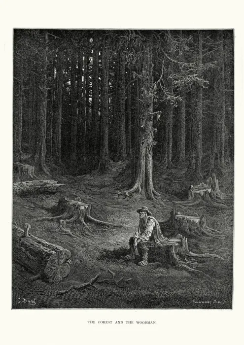 Framed Print : La Fontaines Fables - Forest and the Woodsman Framed Print : La Fontaines Fables - Forest and the Woodsman