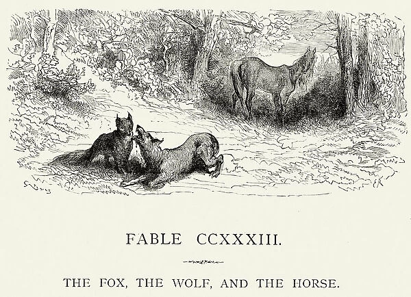 La Fontaines Fables - Fox Wolf and the Horse