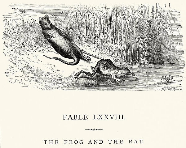 La Fontaines Fables - Frog and the Rat