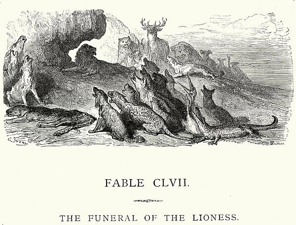 La Fontaines Fables - Funeral of the Lioness
