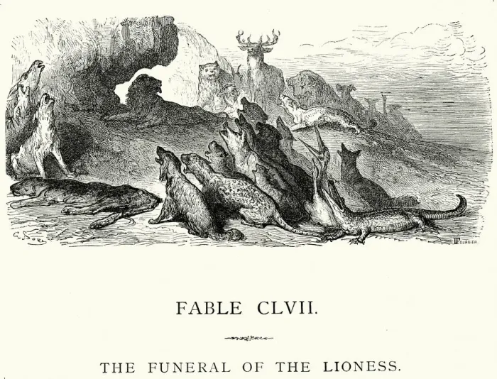 Framed Print : La Fontaines Fables - Funeral of the Lioness Framed Print : La Fontaines Fables - Funeral of the Lioness