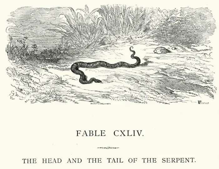 Framed Print : La Fontaines Fables - Head and Tail of the Serpent Framed Print : La Fontaines Fables - Head and Tail of the Serpent