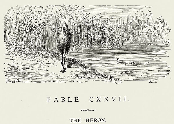 La Fontaines Fables - The Heron