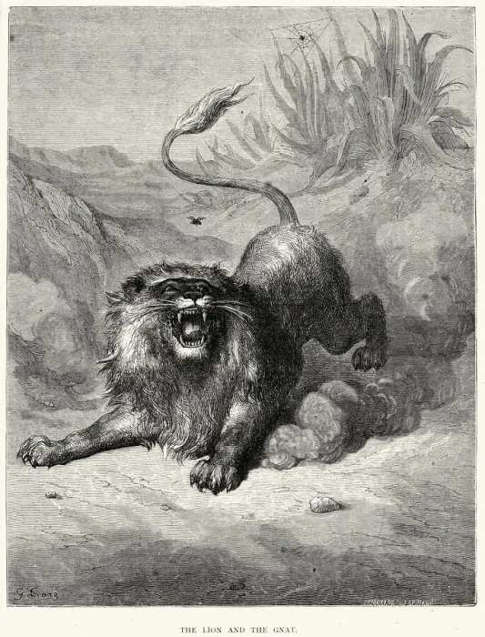 Framed Print : La Fontaines Fables - The Lion and the Gnat Framed Print : La Fontaines Fables - The Lion and the Gnat