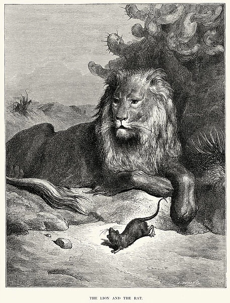 La Fontaines Fables - Lion and the Rat