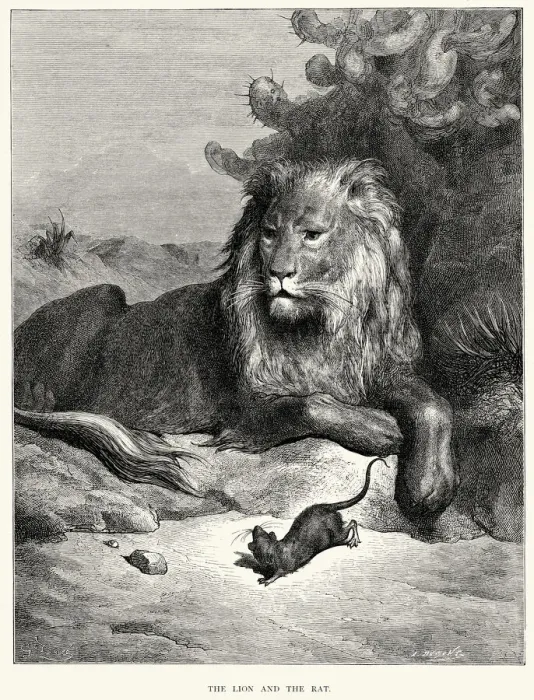 Framed Print : La Fontaines Fables - Lion and the Rat Framed Print : La Fontaines Fables - Lion and the Rat