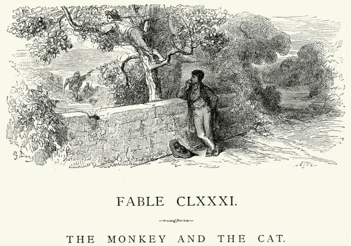 Framed Print : La Fontaines Fables - Monkey and the Cat Framed Print : La Fontaines Fables - Monkey and the Cat