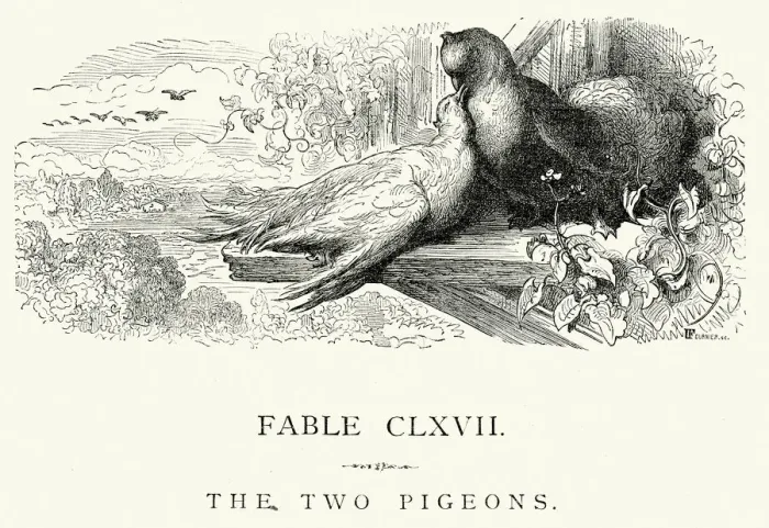 Framed Print : La Fontaines Fables - The Two Pigeons