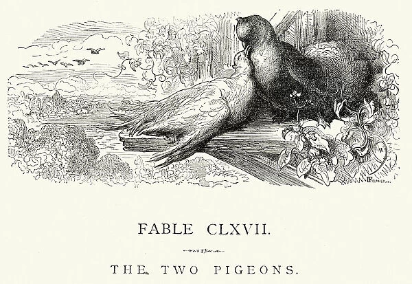 La Fontaines Fables - The Two Pigeons
