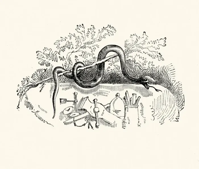Framed Print : La Fontaines Fables - Serpent and the File Framed Print : La Fontaines Fables - Serpent and the File