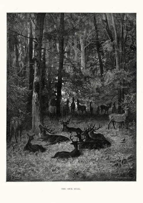 Framed Print : La Fontaines Fables - The Sick Stag Framed Print : La Fontaines Fables - The Sick Stag