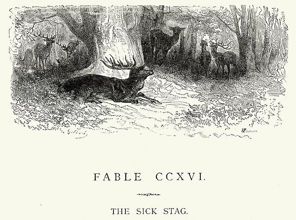 La Fontaines Fables - The Sick Stag