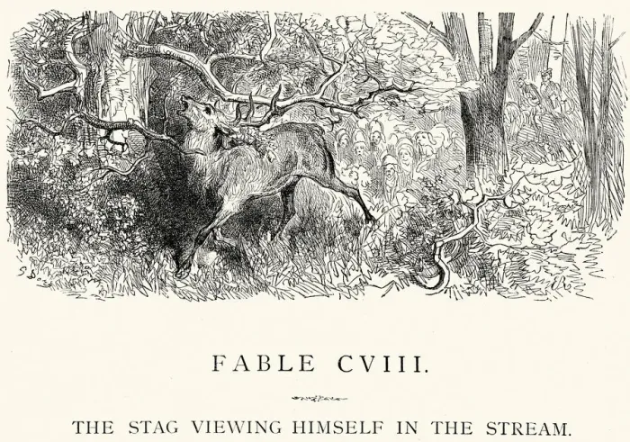 Framed Print : La Fontaines Fables - Stag viewing himself in the Stream Framed Print : La Fontaines Fables - Stag viewing himself in the Stream