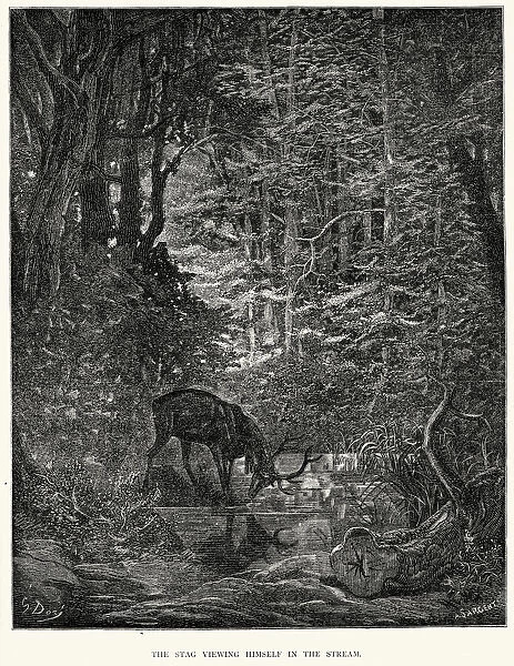 La Fontaines Fables - Stag viewing himself in the Stream